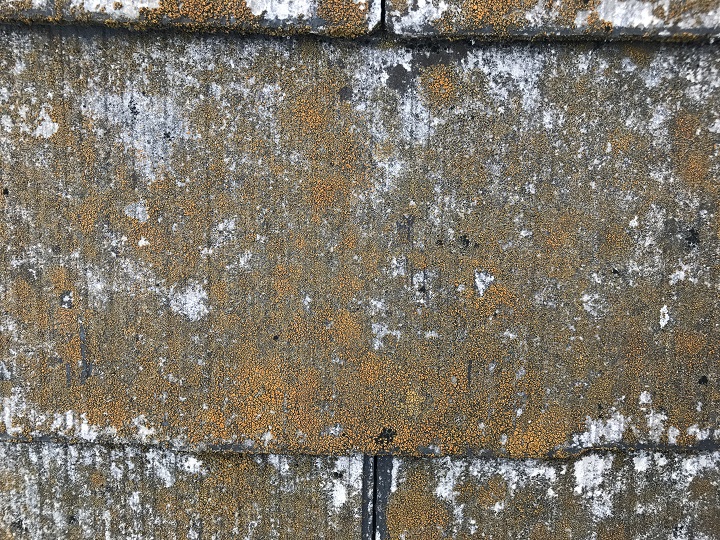 名張市　カラーベスト屋根の点検（側面拡大）