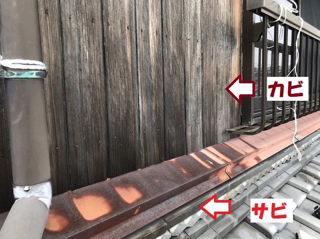 津市　木製外壁　カビ