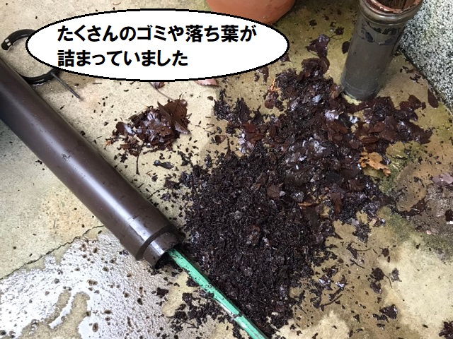 樋　詰まり　掃除