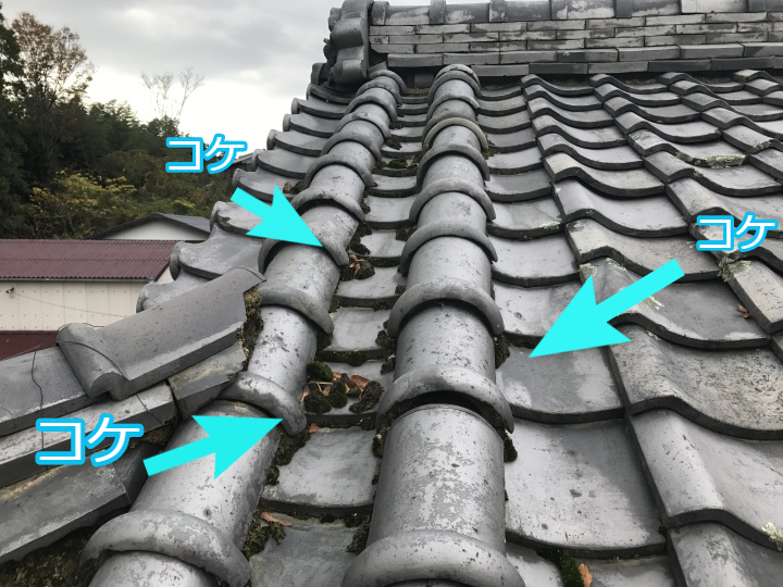 伊賀市　丸流し　苔が生えている