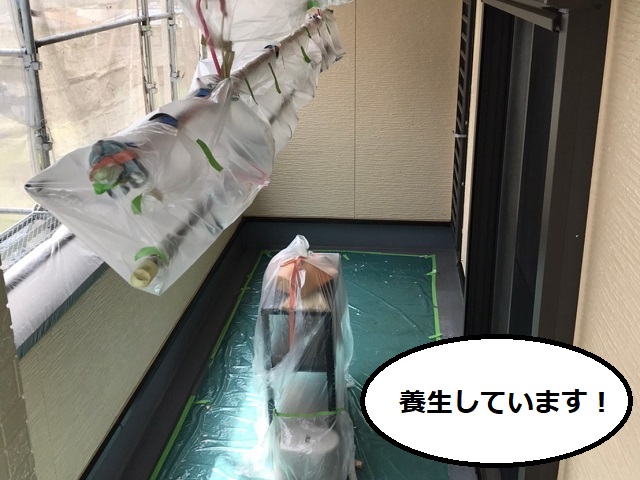 外壁_目地　塗装