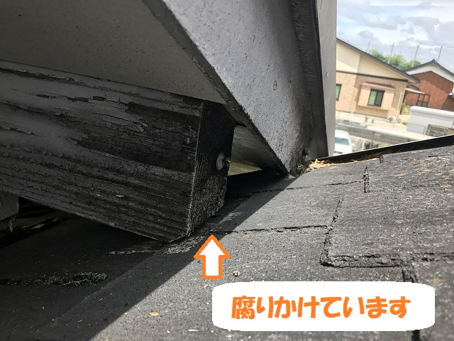 伊賀市　母屋木　腐りかけ