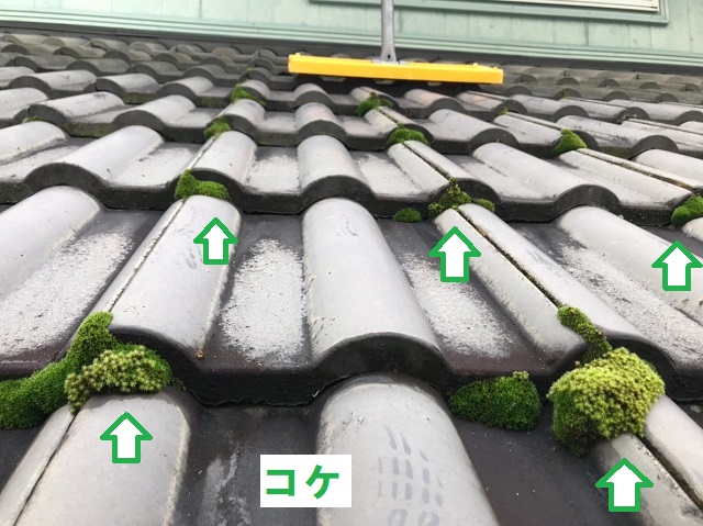 名張市　瓦屋根　コケ