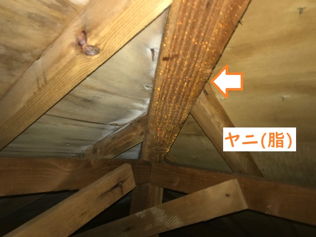 名張市　米松　ヤニ