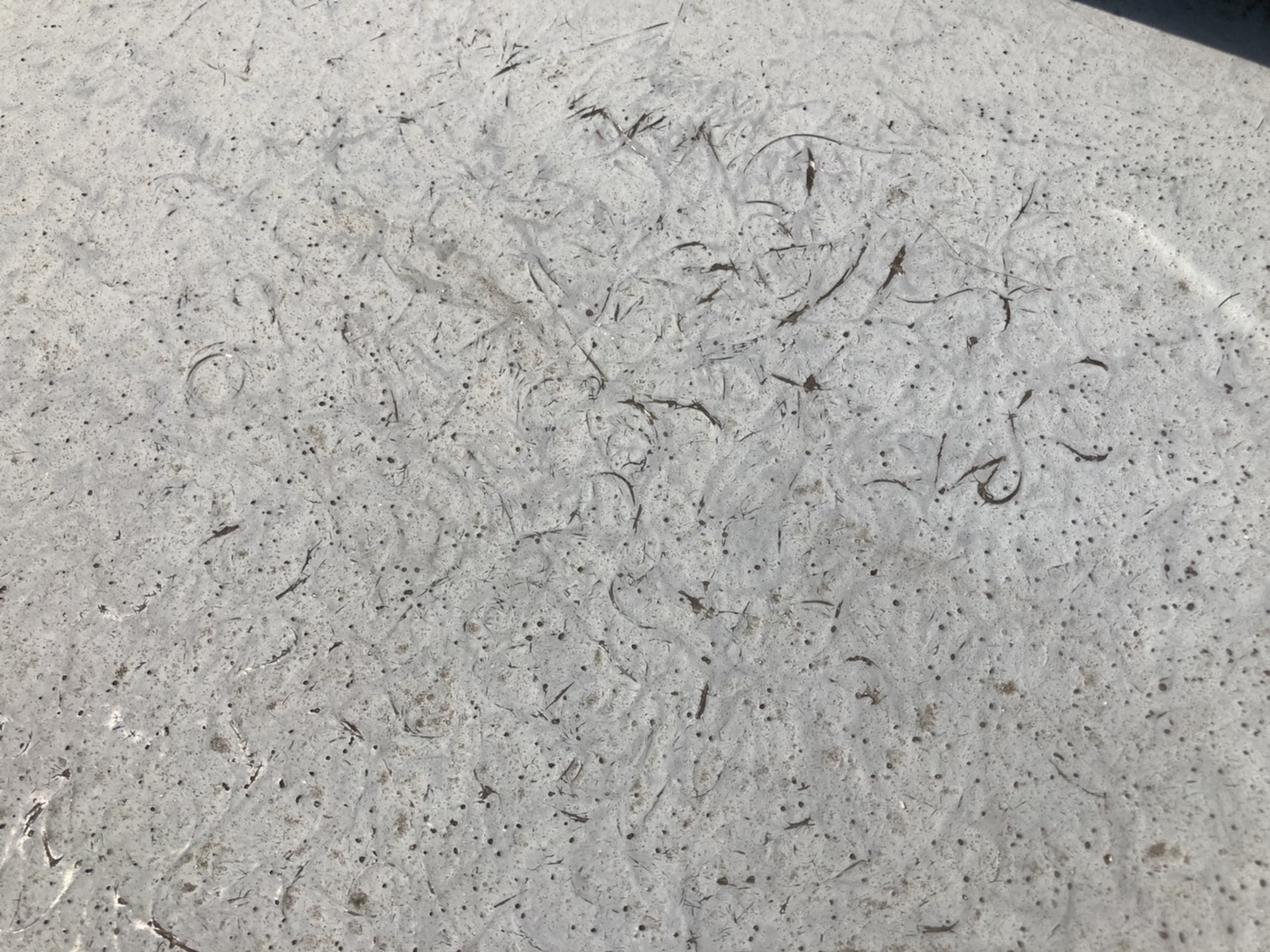 ベランダ　劣化