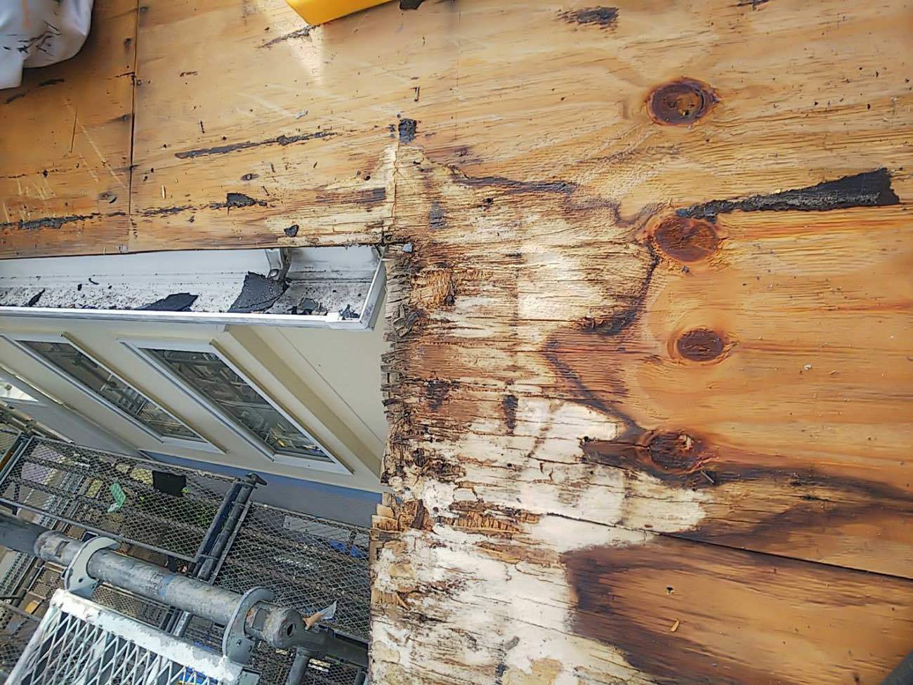 一部、雨に当たっており劣化が進行していますね