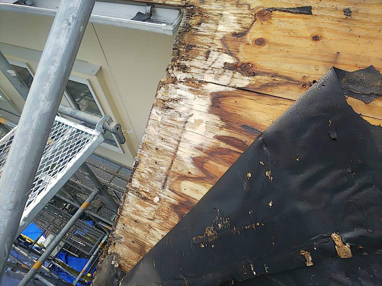 一部雨が当たって劣化していました