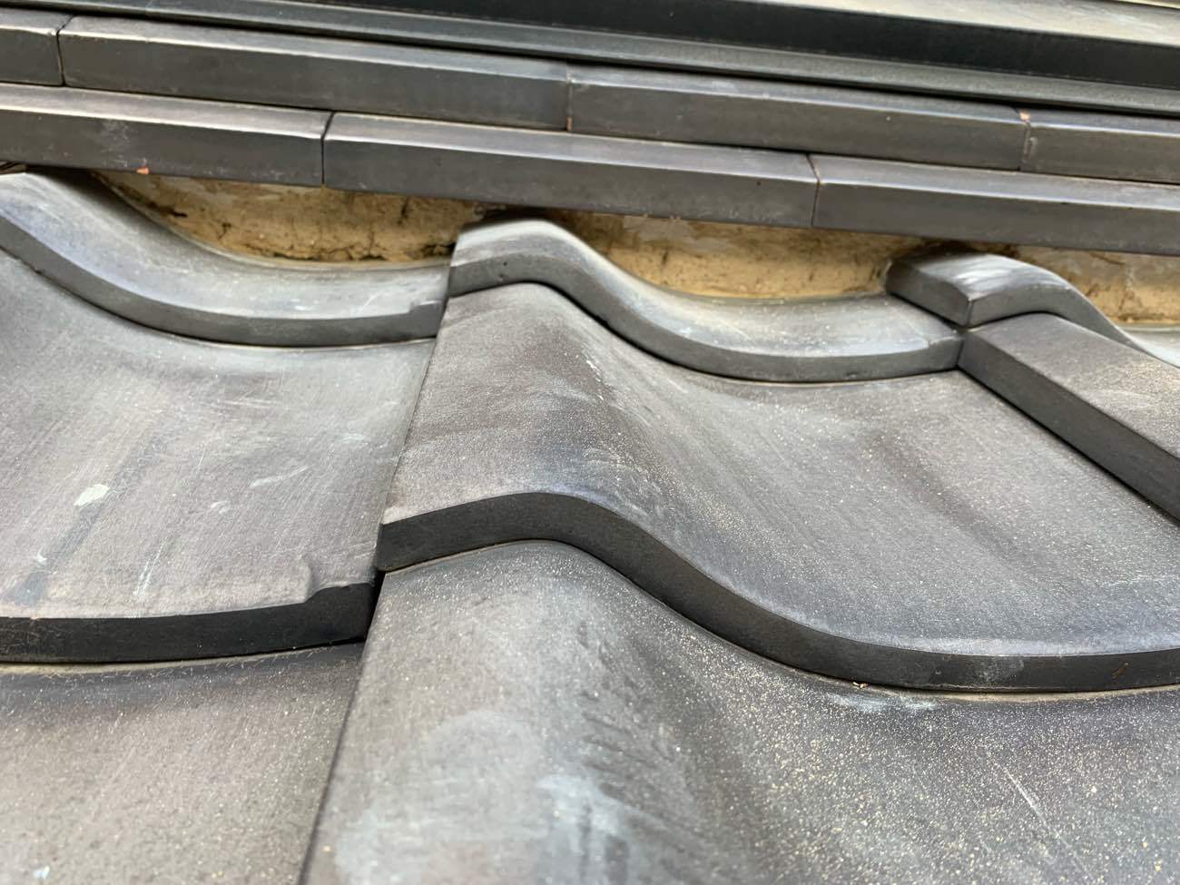 撤去すると、中の土はこのような形に