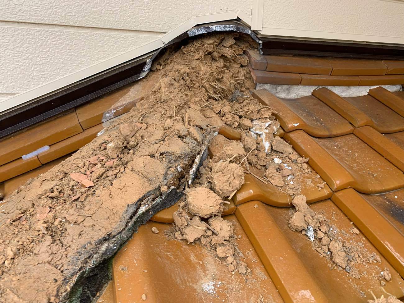 土も撤去しています