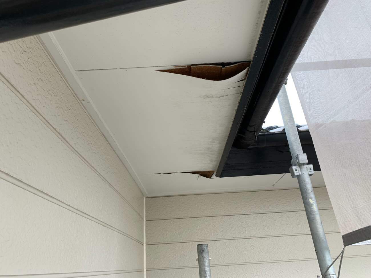 少し触るとここまで剥がれ落ちてきました。