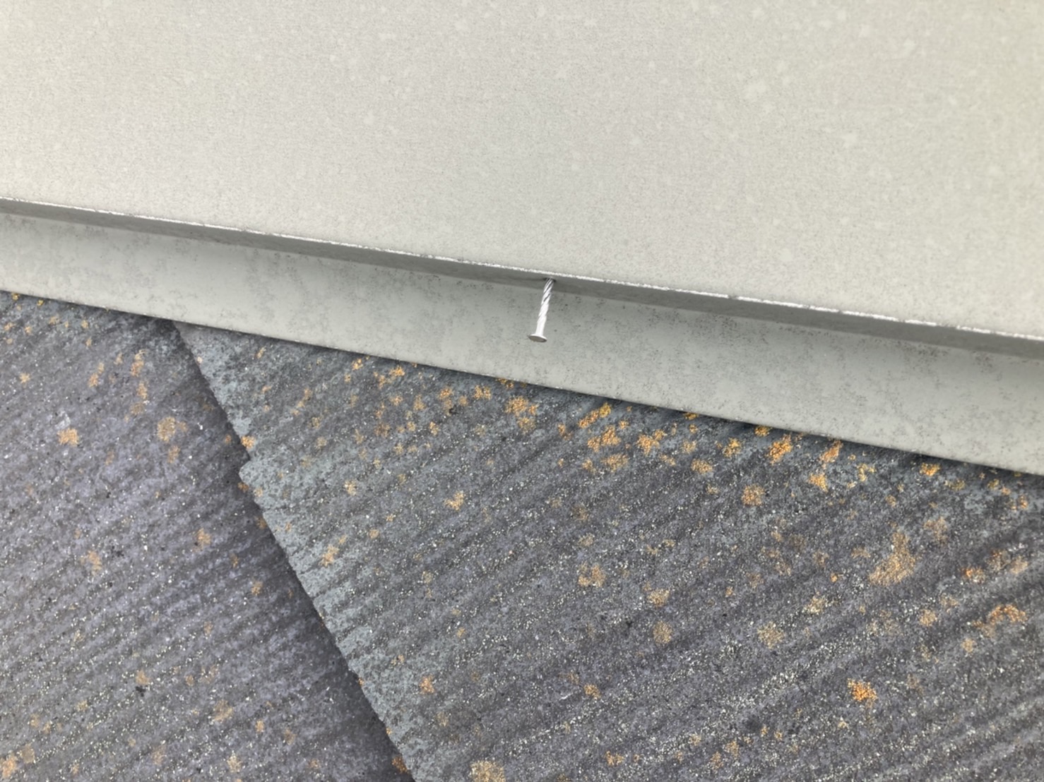 棟板金の釘がかなりの浮きが発生