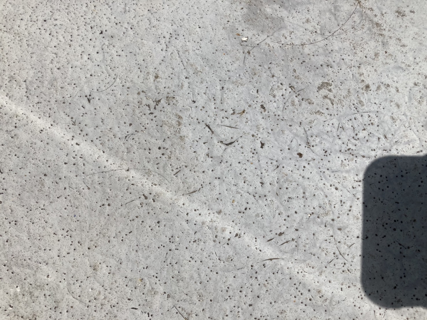 ベランダ　表面