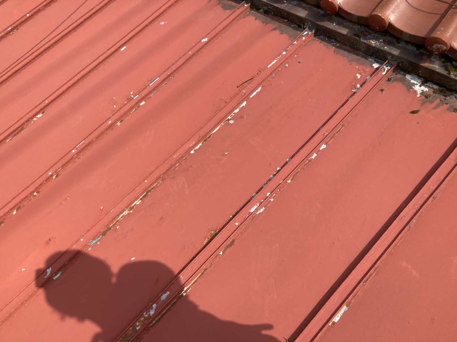 板金屋根　より