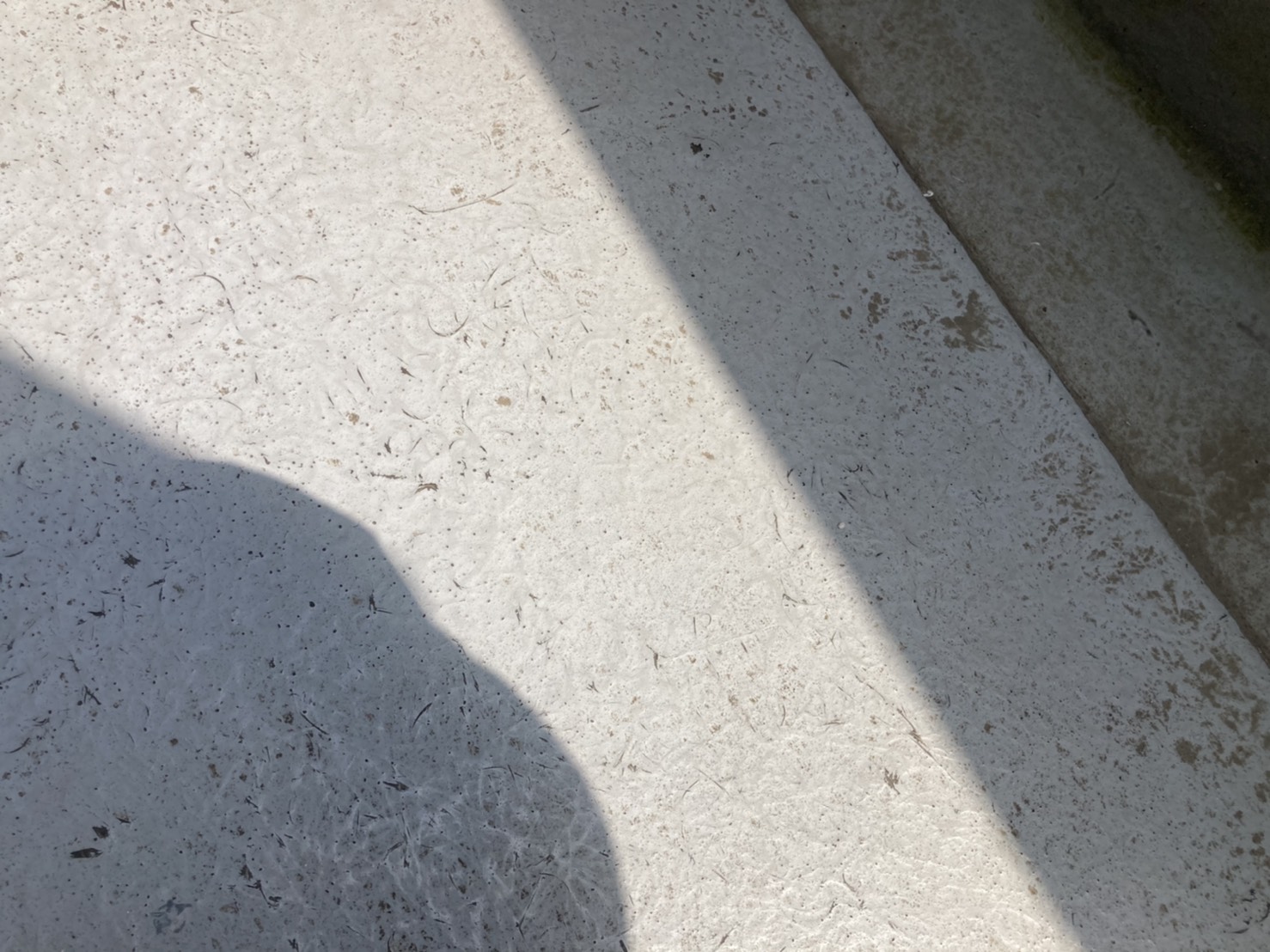 ベランダ　剥がれ