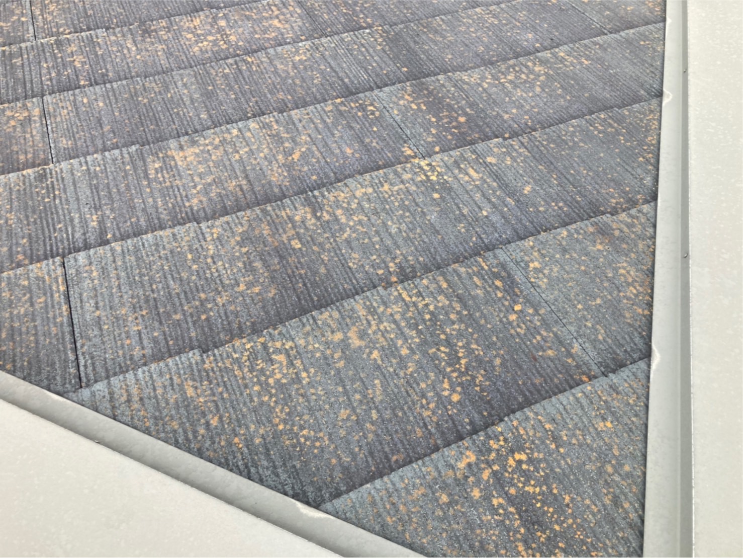 スレート屋根は苔やカビが発生する