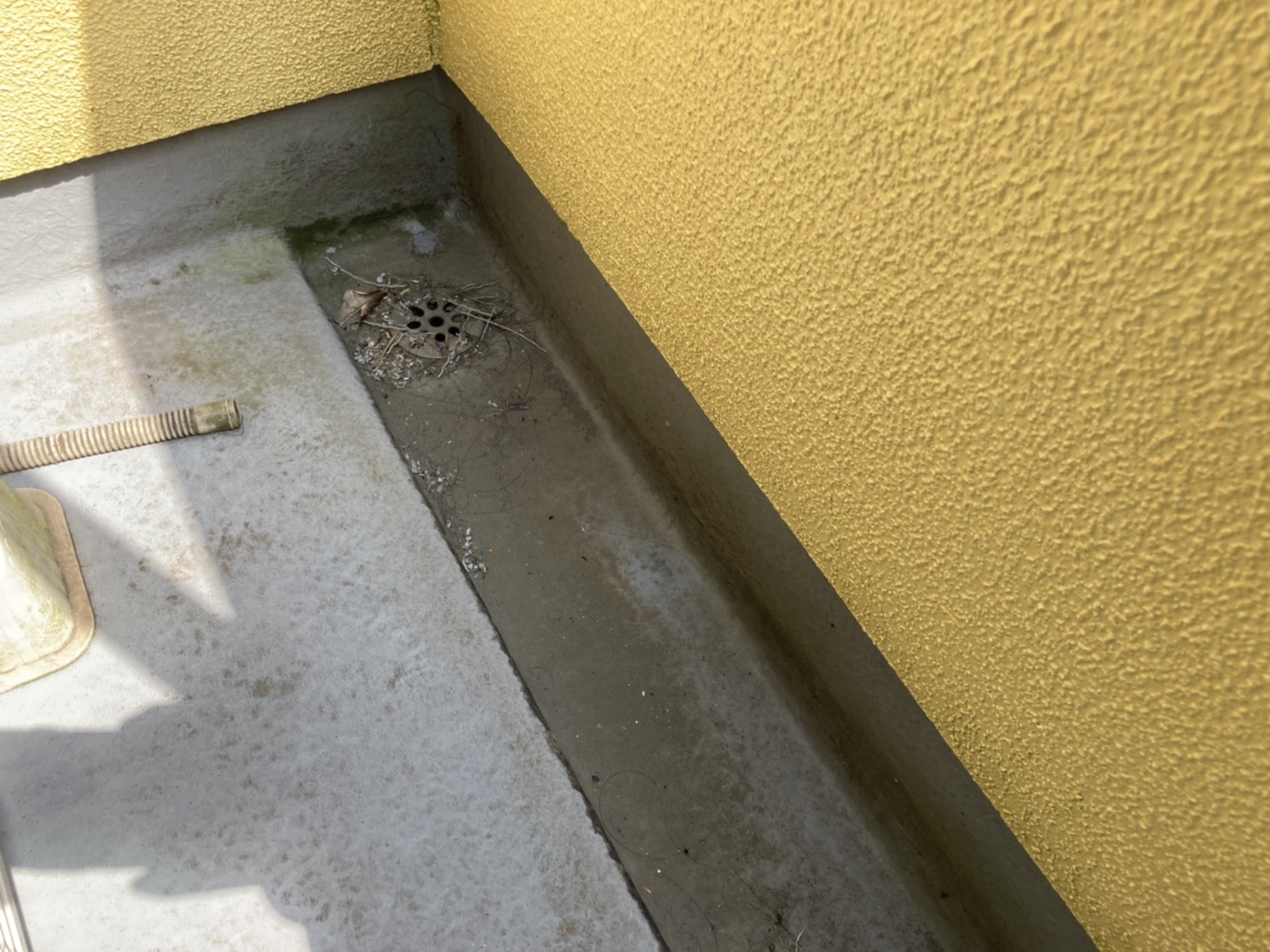 ベランダ　ドレン　ひき