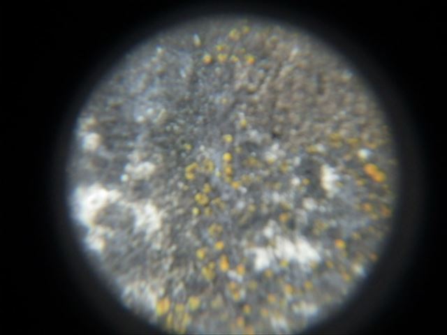 スレート　カラーベスト　屋根点検　コケ　カビ　褪色　