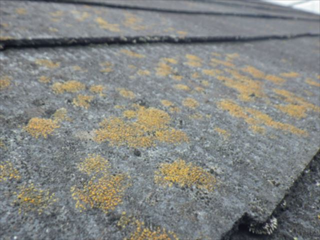 スレート　カラーベスト　屋根点検　コケ　カビ　褪色　