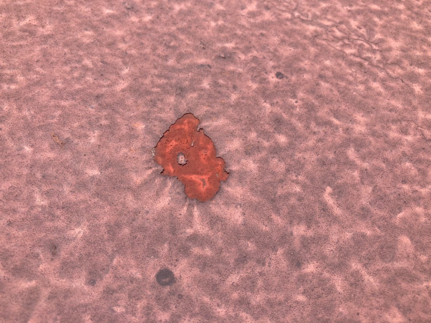 サビが発生中。