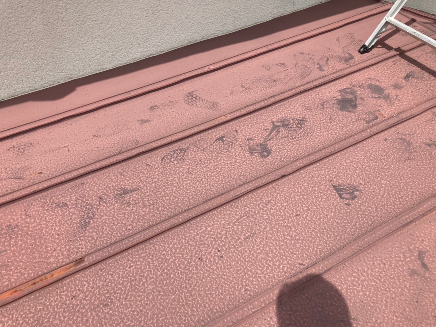 少し歩くと表面についた塗膜の粉がよくわかります