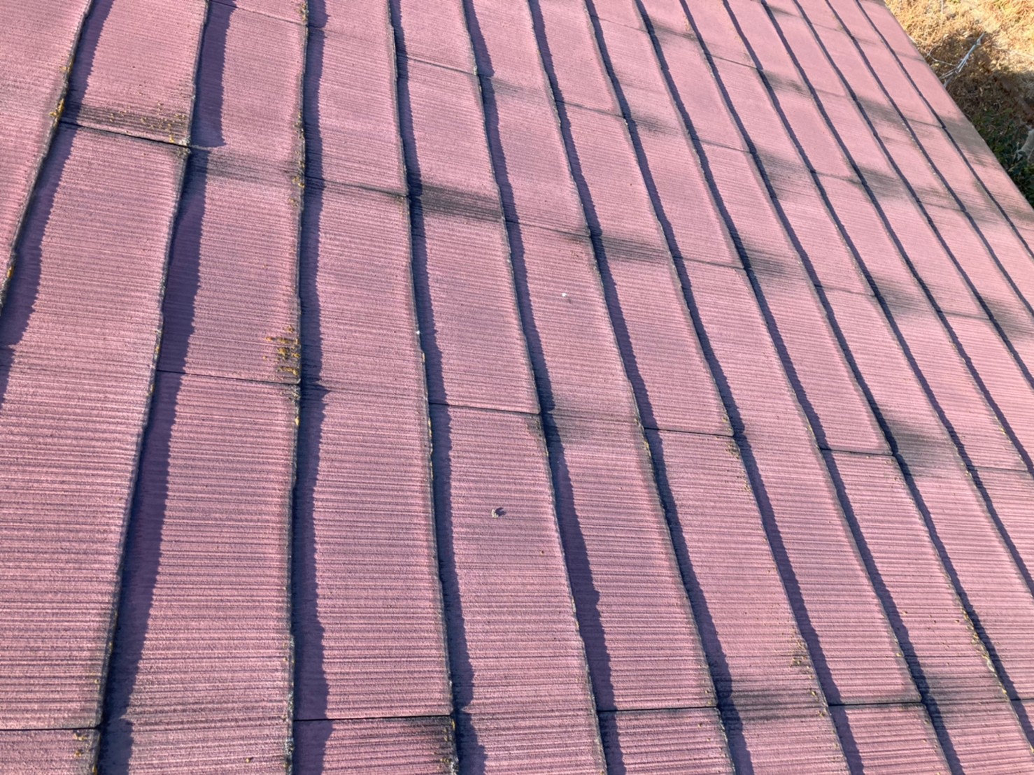 もともとはオレンジ系の色だったそうです