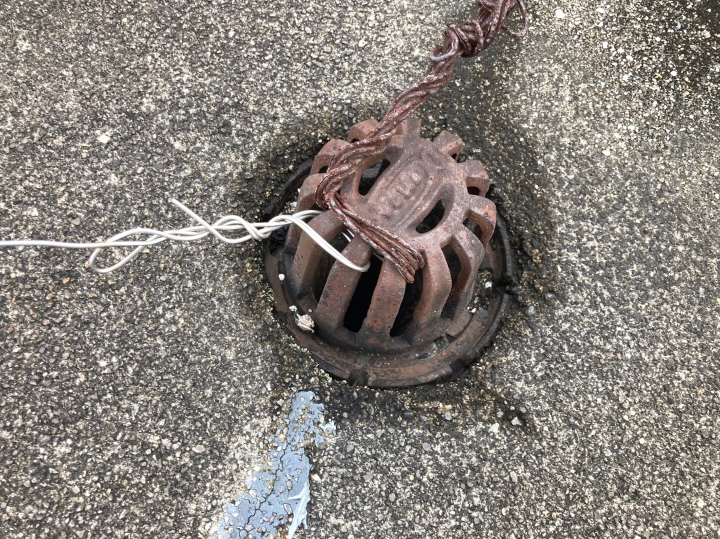 排水溝周りはゴミは溜まってないですね