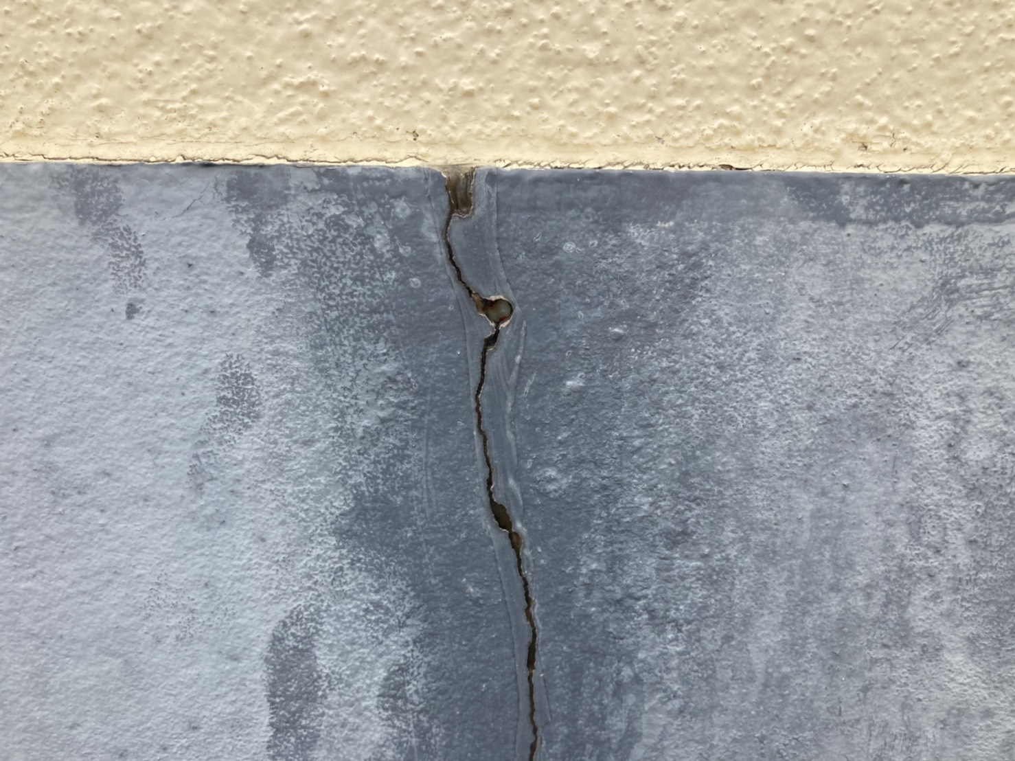 養生テープを撤去して完成