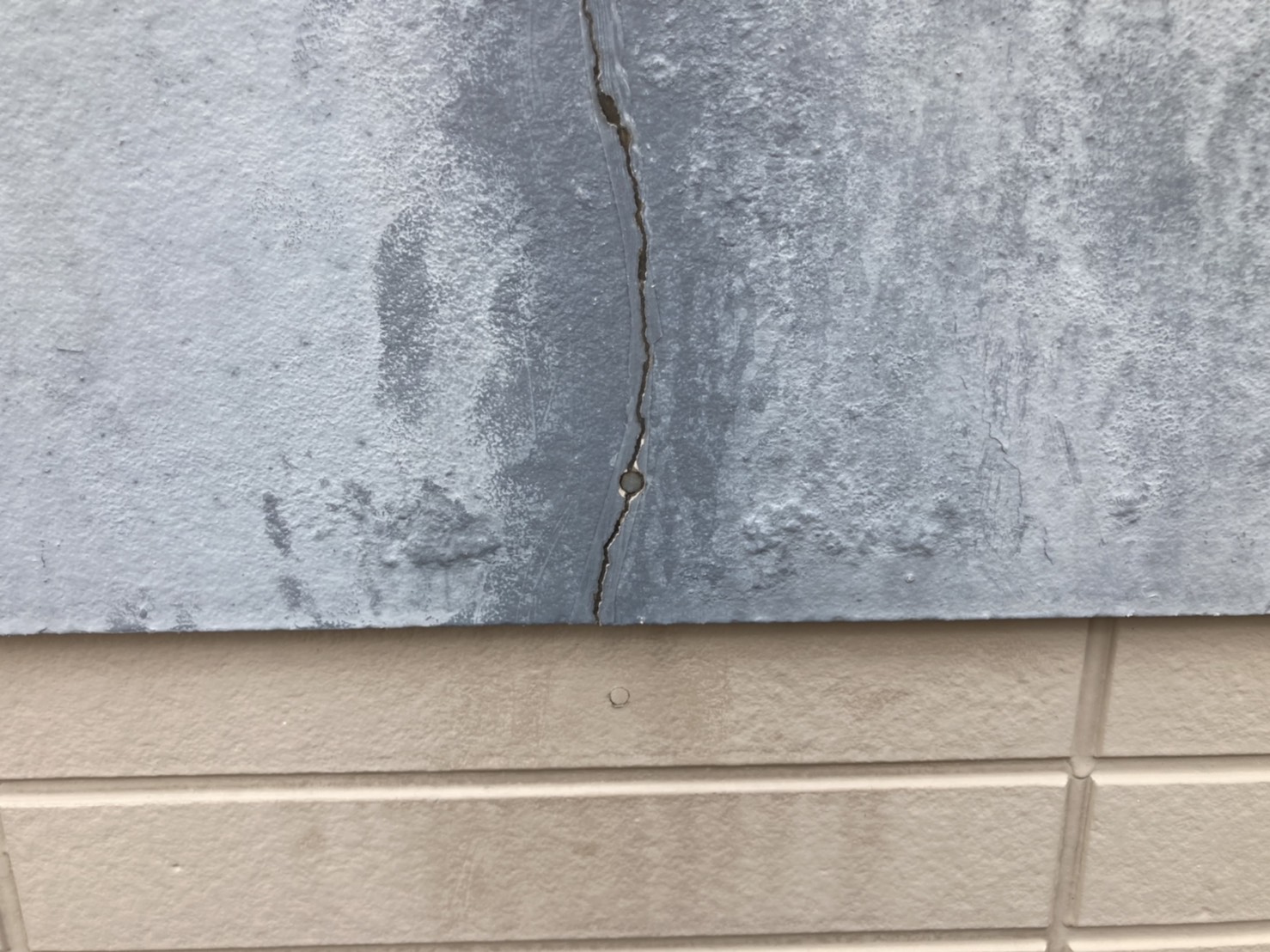 今回は透明のものを使いましたが、色は様々です