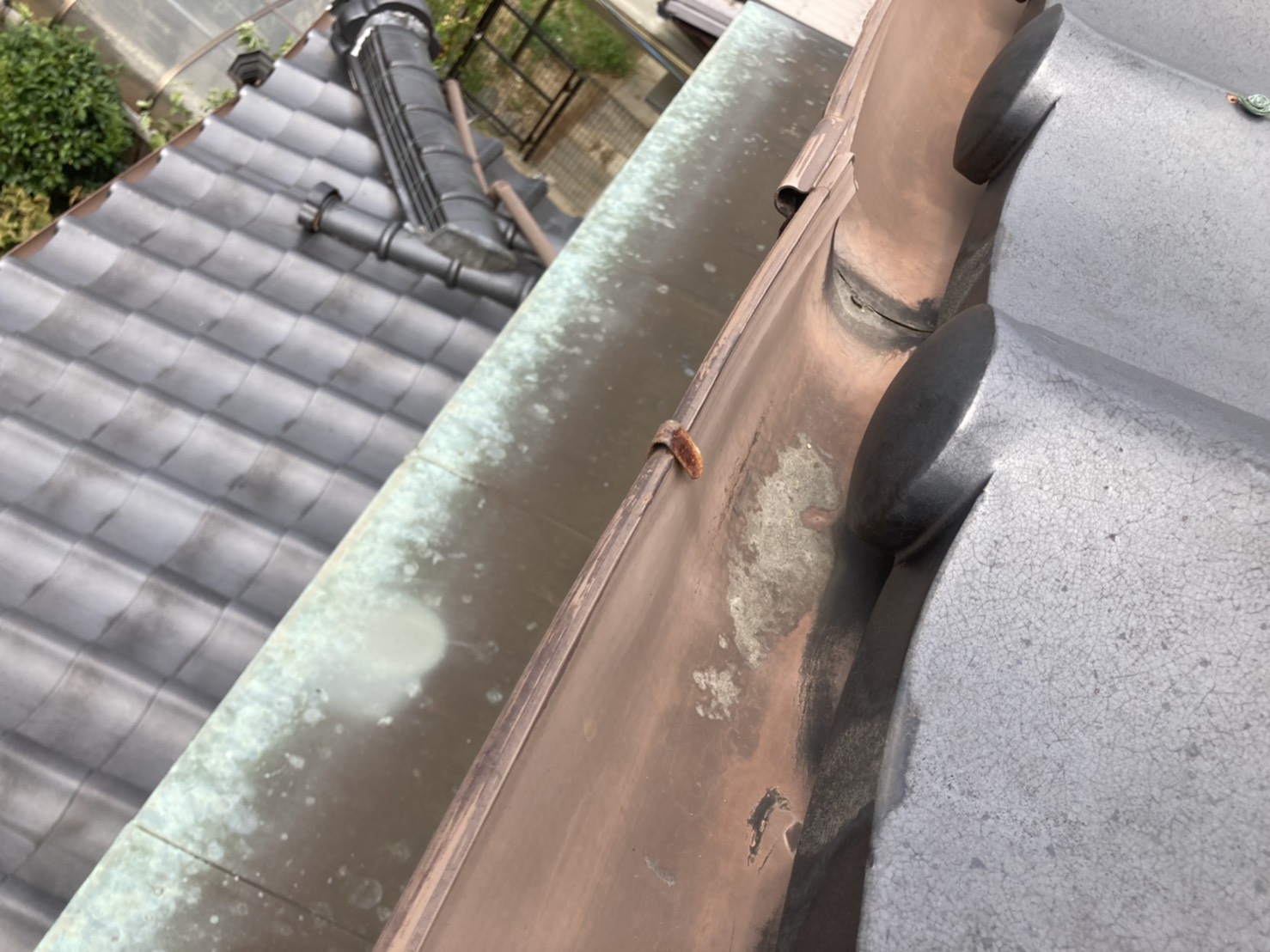 樋も屋根の一部です。補修は絶対