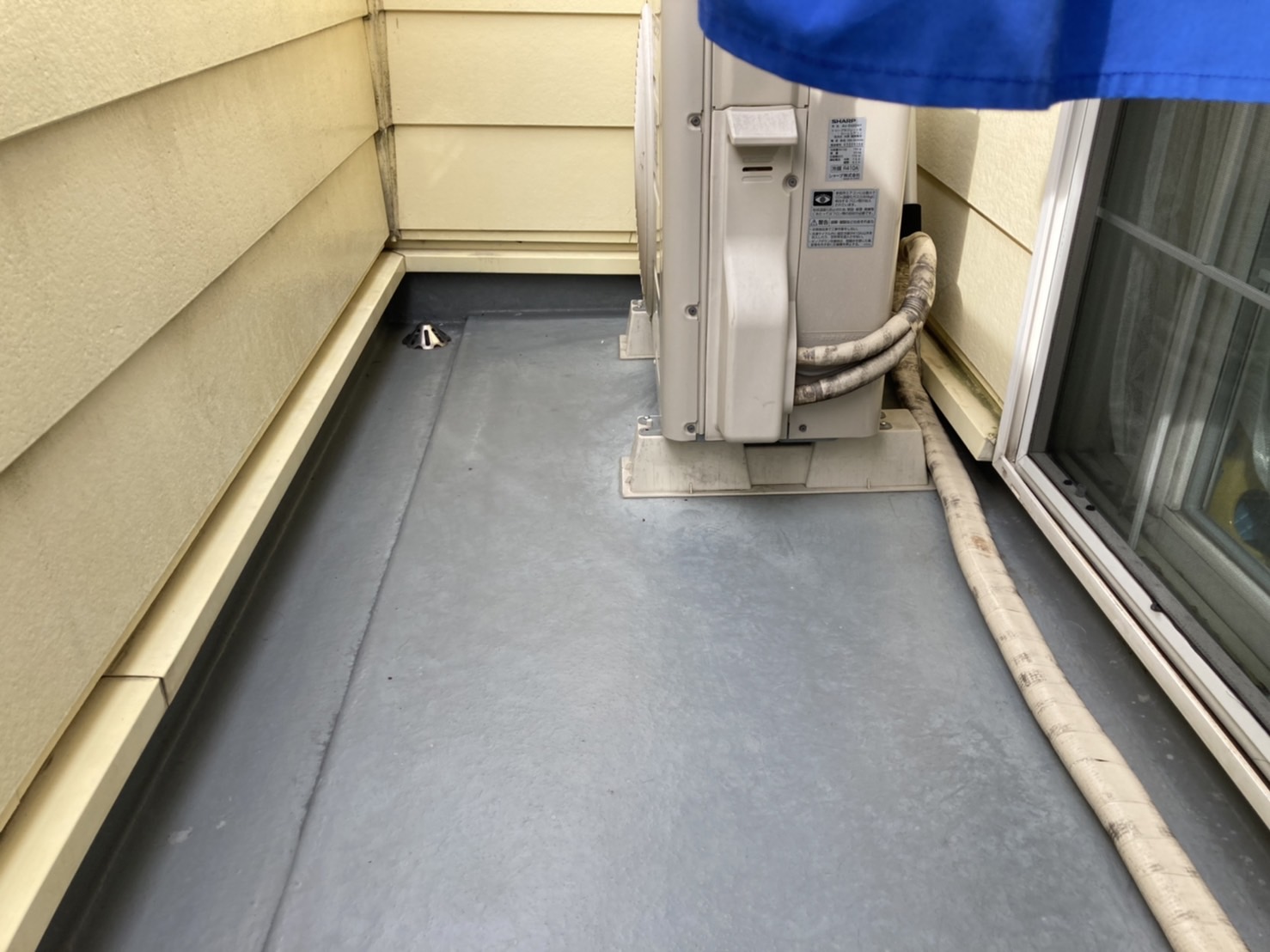 大きな傷もあまりありませんでした