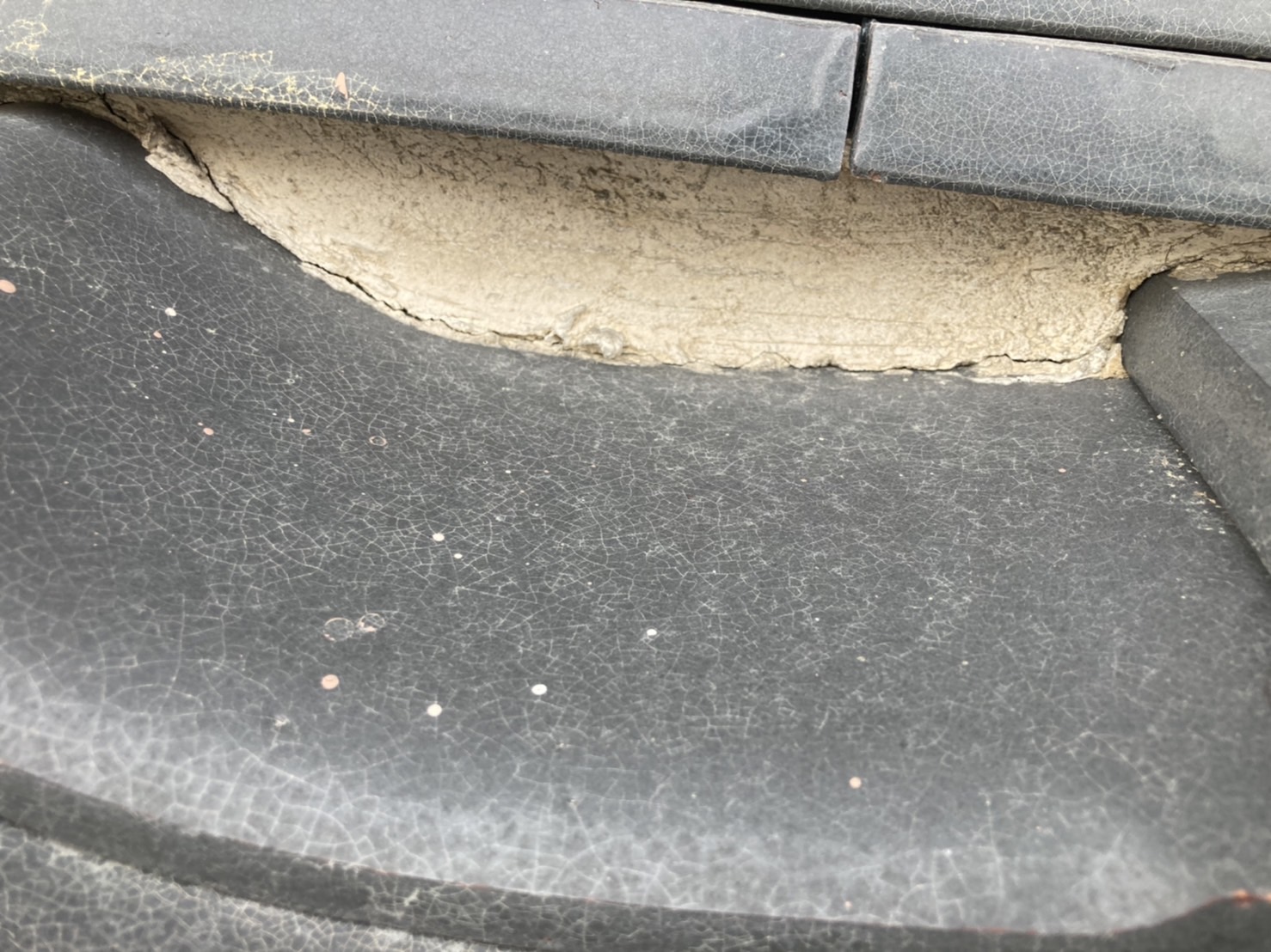 綺麗な部分はこんなにもキレイ