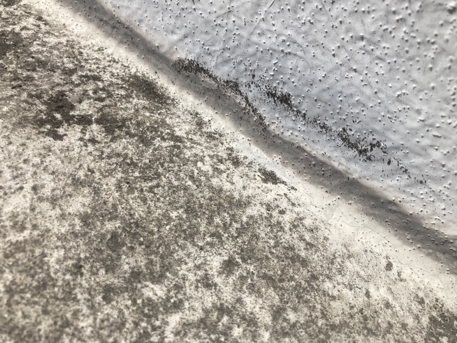 表面のひび割れは保護塗膜として塗装されているトップコートです