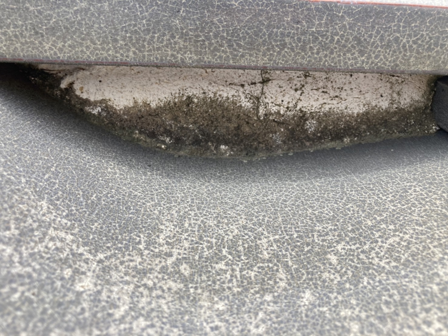 褪色や苔の発生も起きます