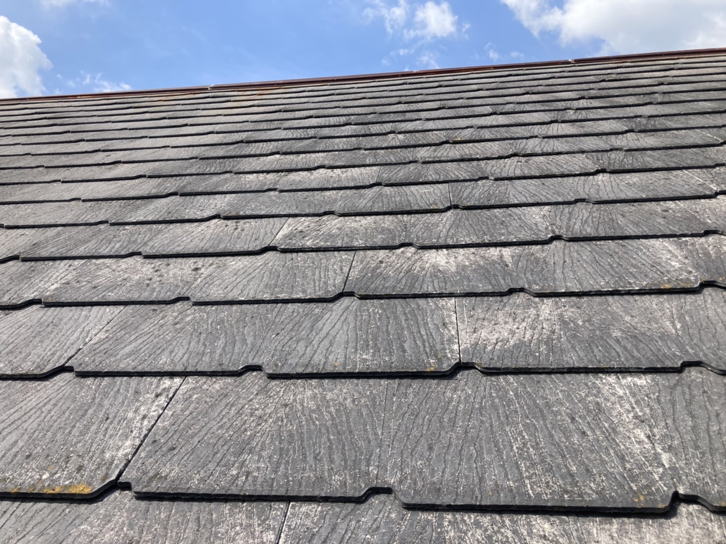 経年劣化は褪色と苔が目安