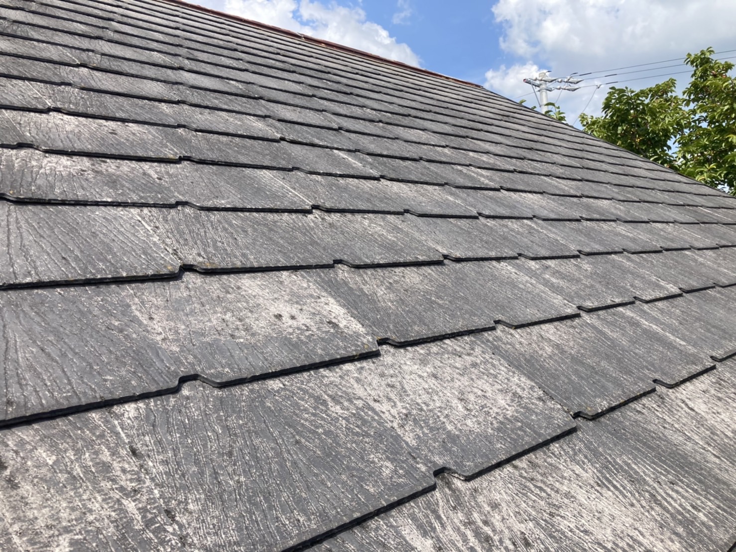 あと塗膜が粉状に劣化してきます