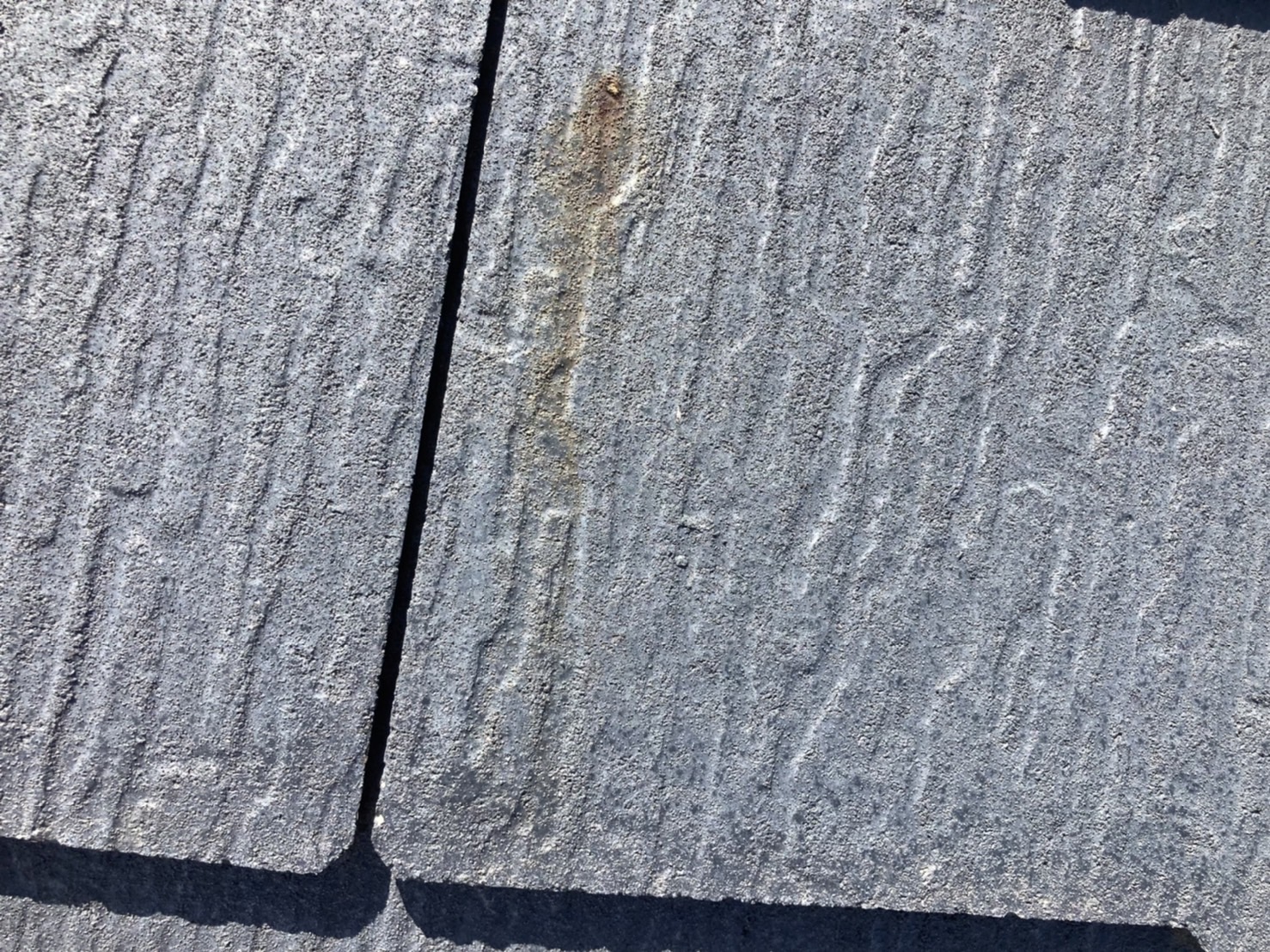 褪色と同じように苔やカビも