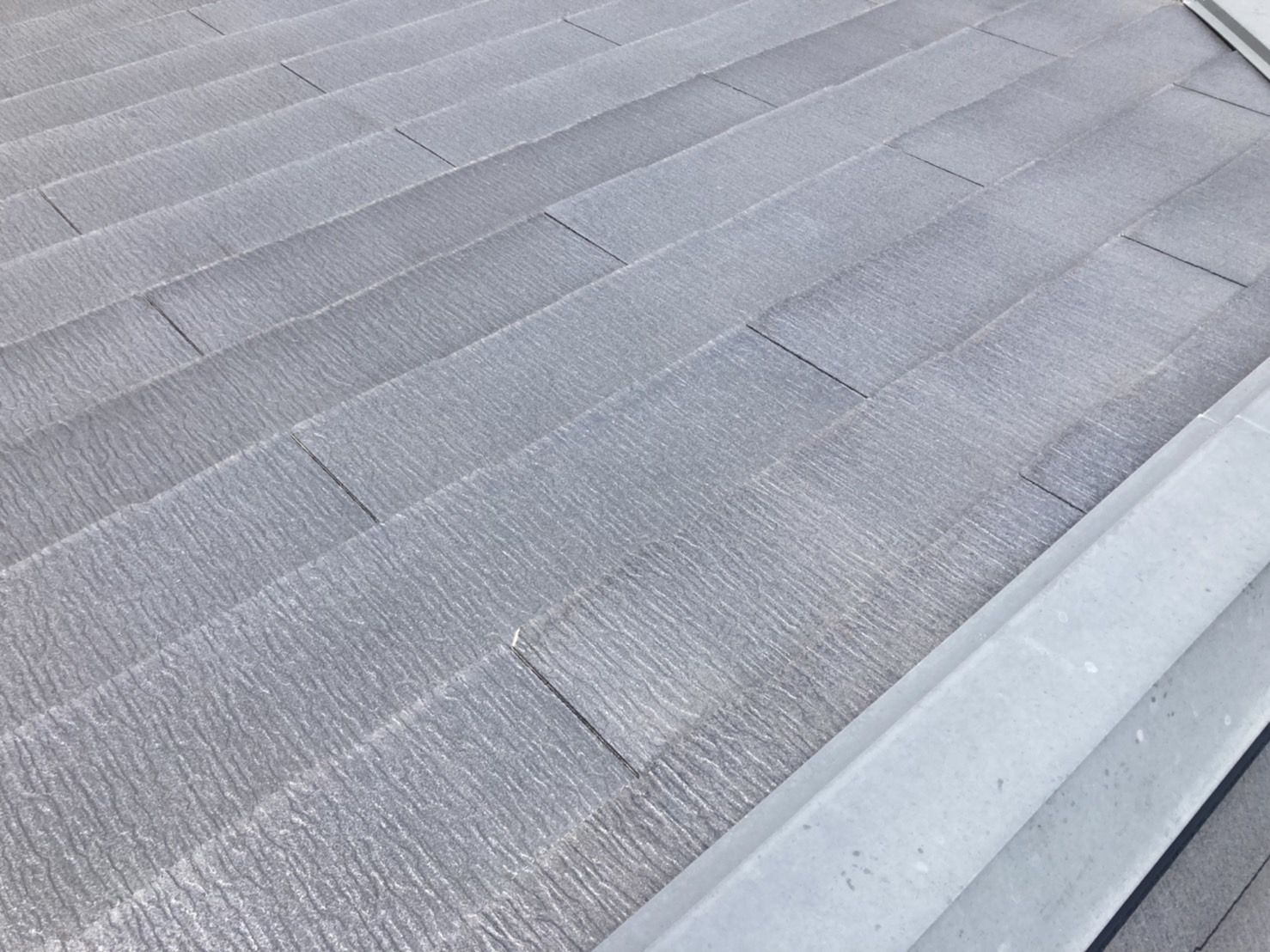 全景はこんな感じ