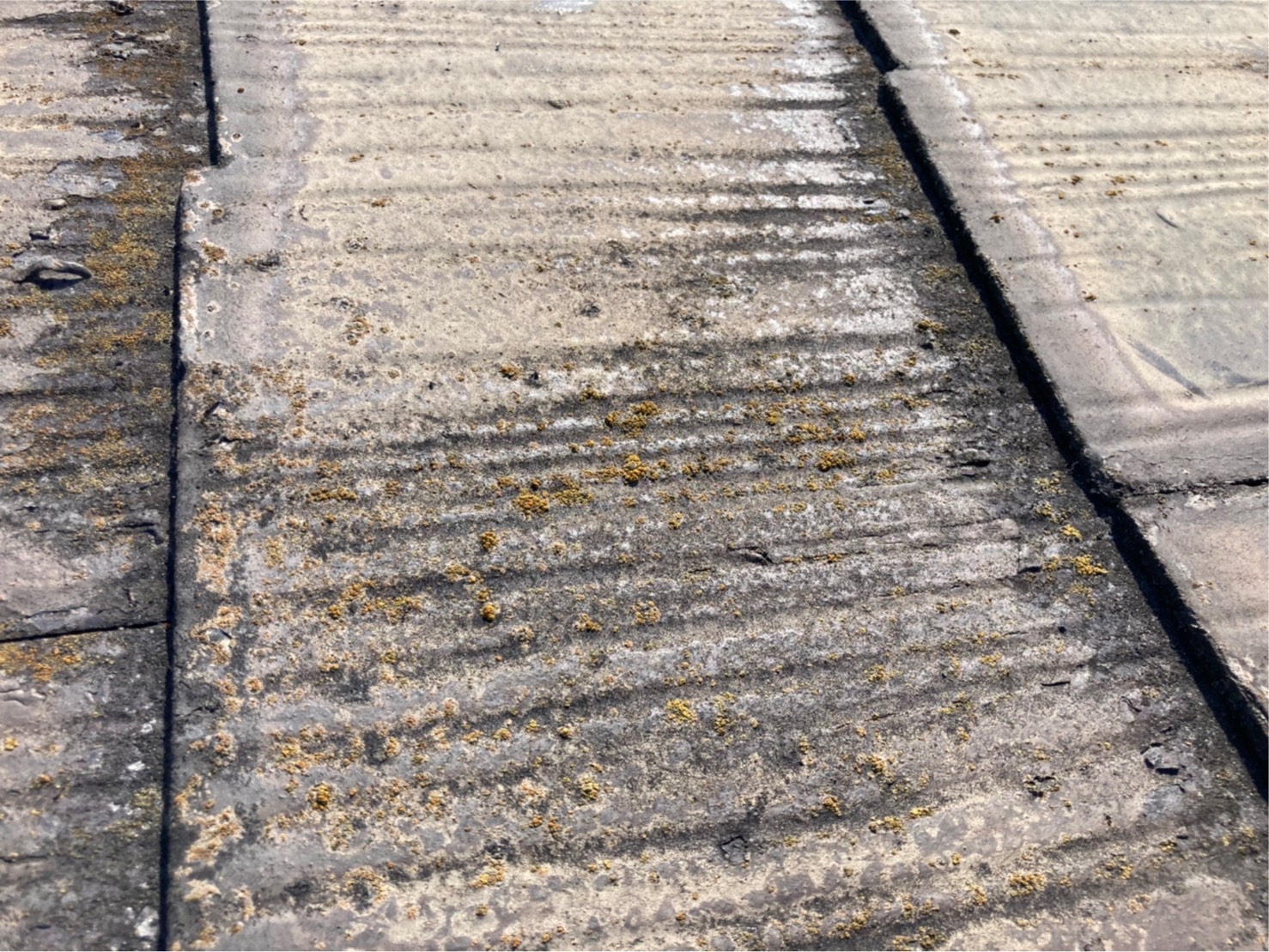 苔が発生しており、屋根材自体にも悪影響を及ぼしていました