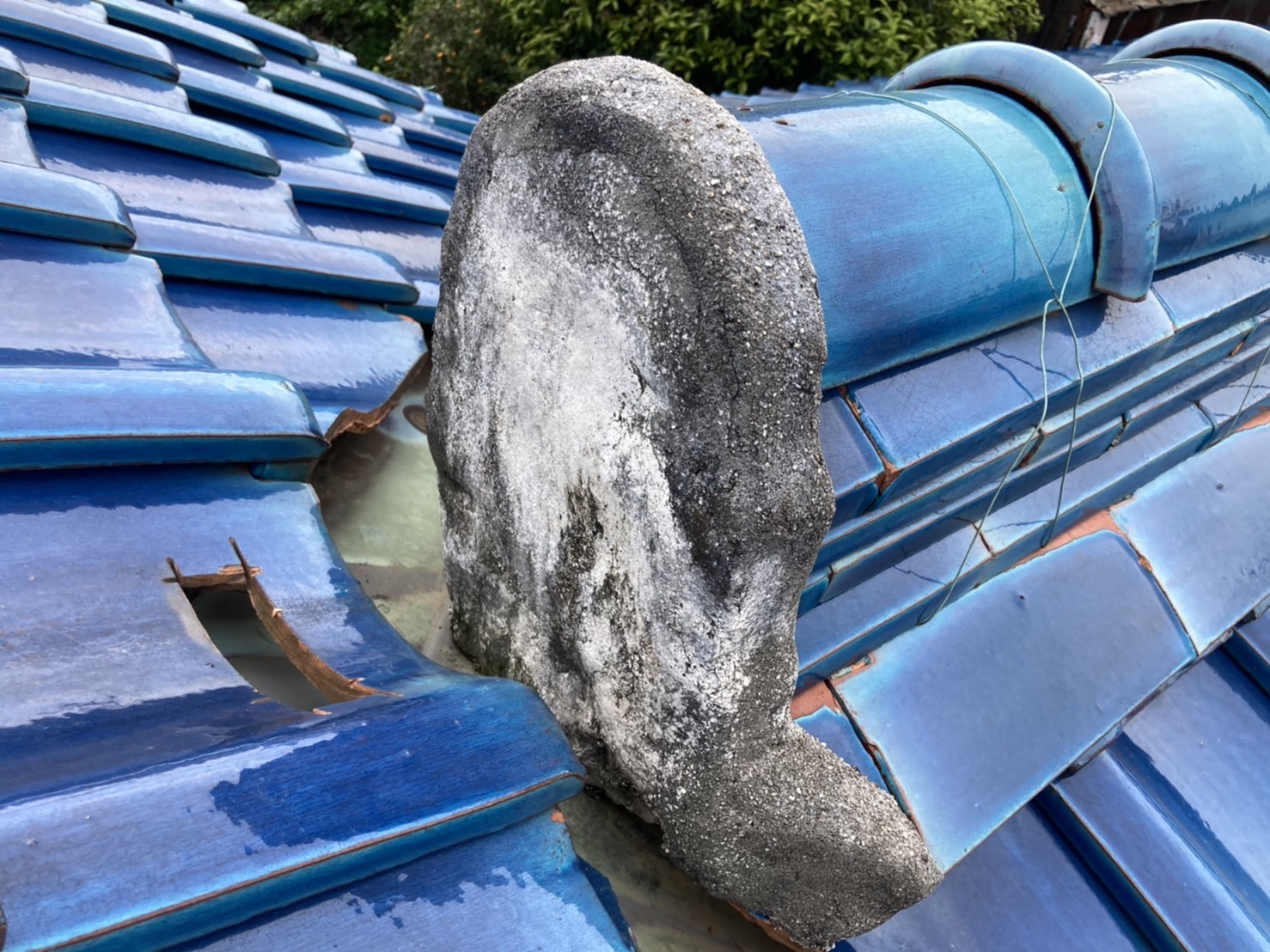 棟止めは全体的な褪色が発生中