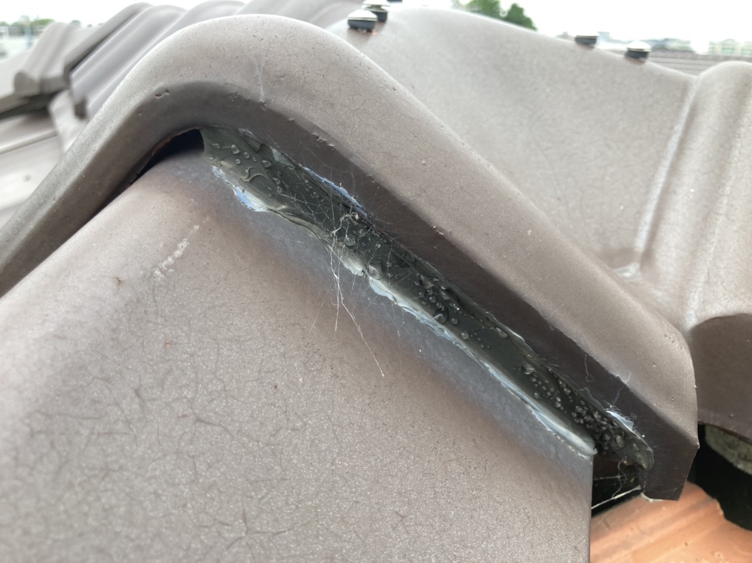 棟と棟とのつなぎ目に雨水の侵入を抑えるようになっています