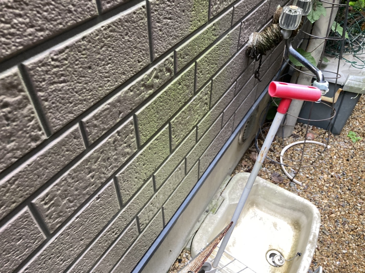 苔は北面の日当たりや風通しの悪いところに発生します