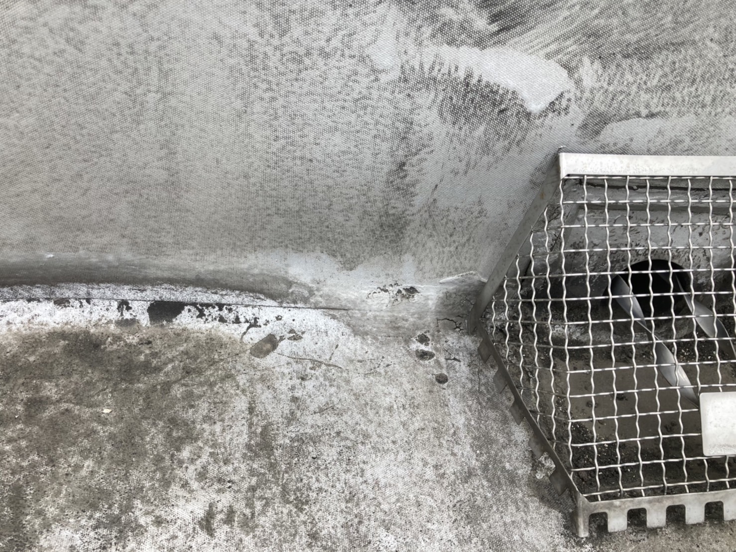 排水溝の周りは雨漏り原因になりやすいです