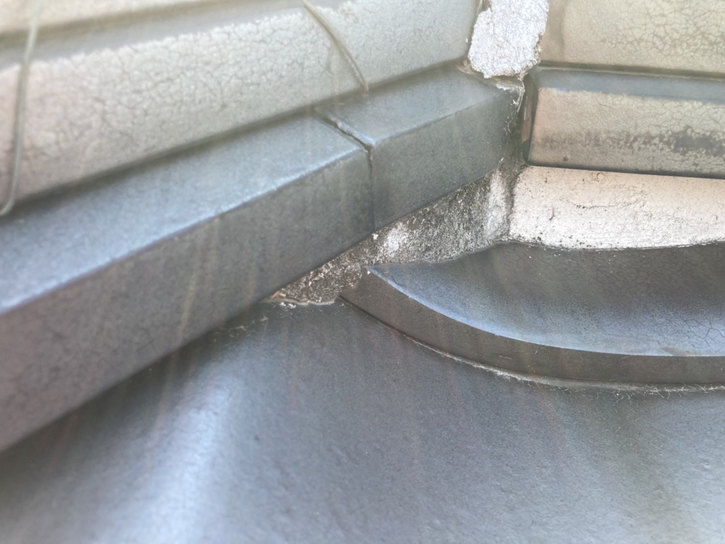 全体的に褪色が発生