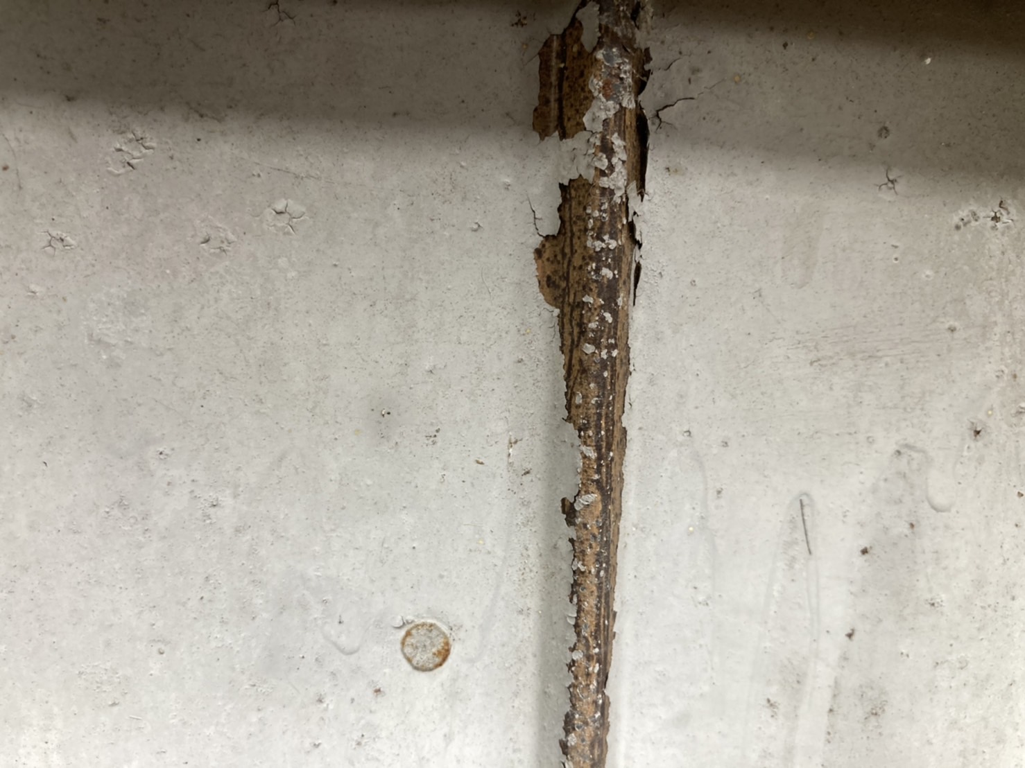 表面に塗ってある塗膜は剥離し、サビが広がっていますね