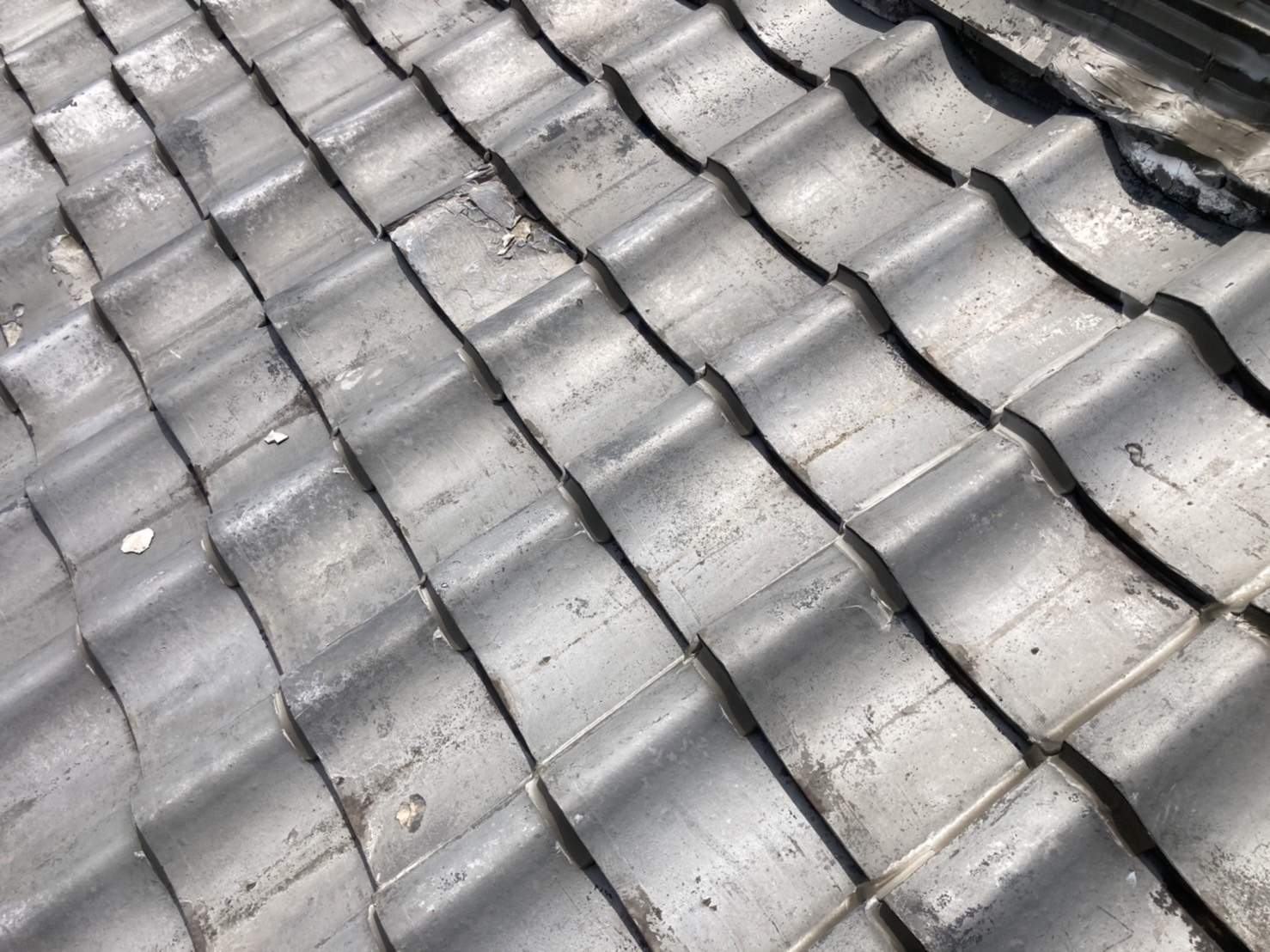 表面はいくつか凍てつきがありますが、問題ありません