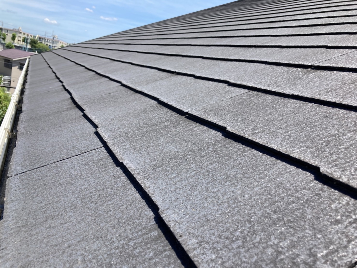 全体的にも少し反り返りが始まっています