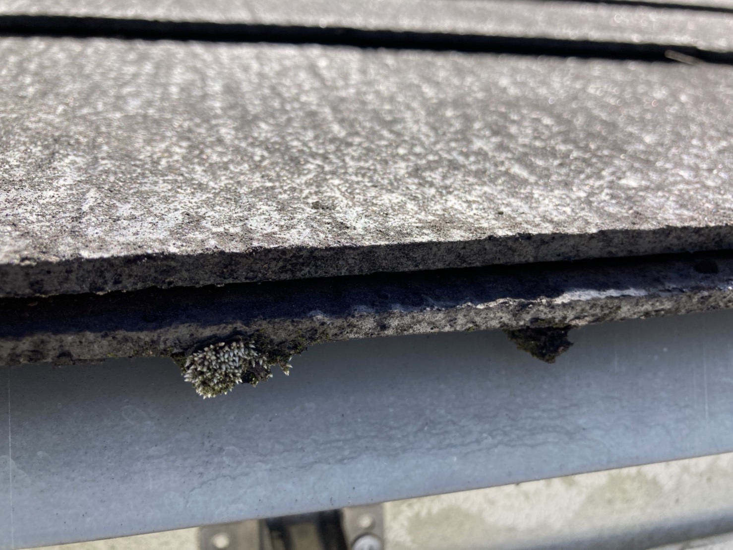 軒先周りは苔が発生中