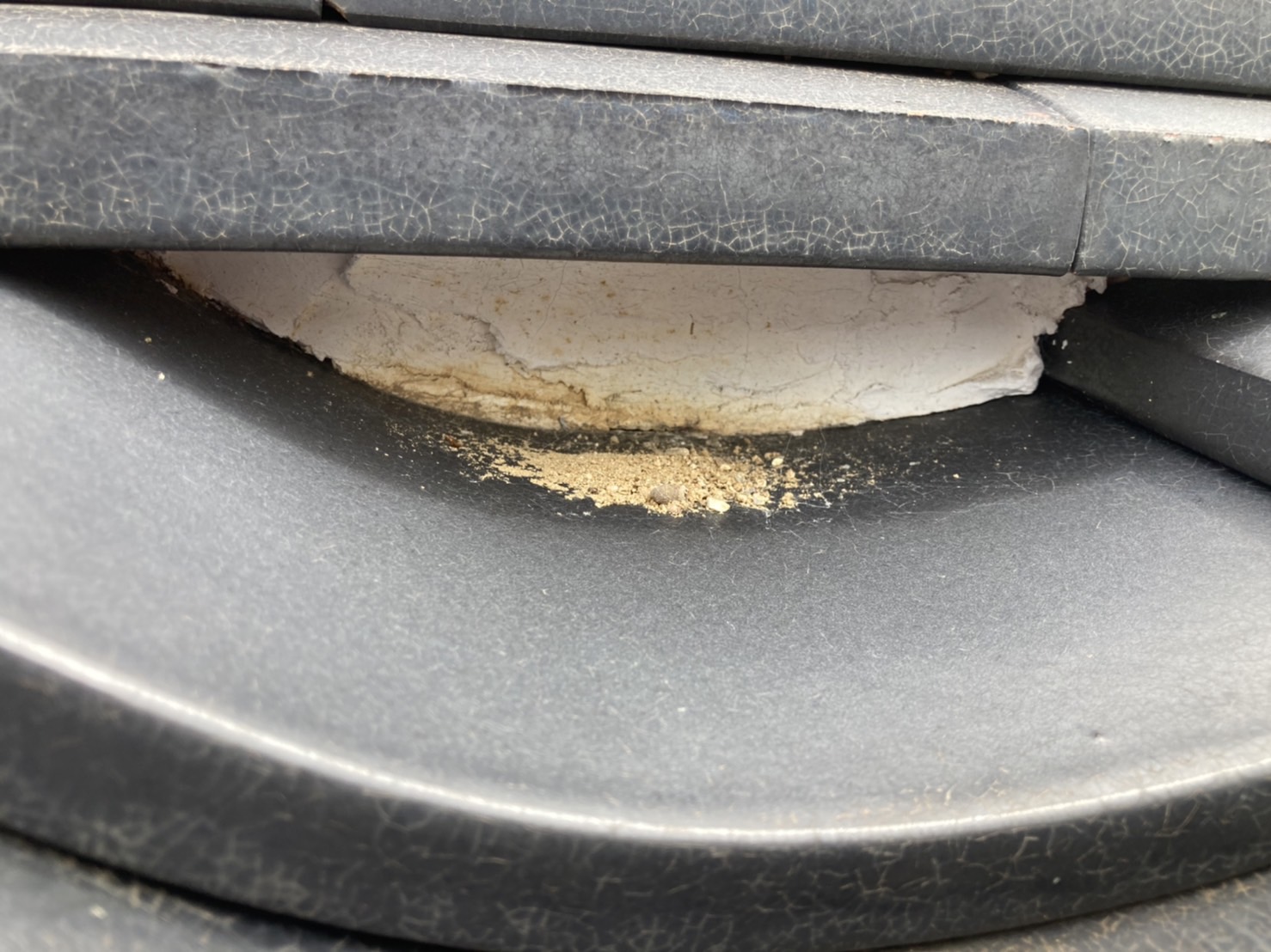 このような土が手前にある場合は、外から入ってきた土です