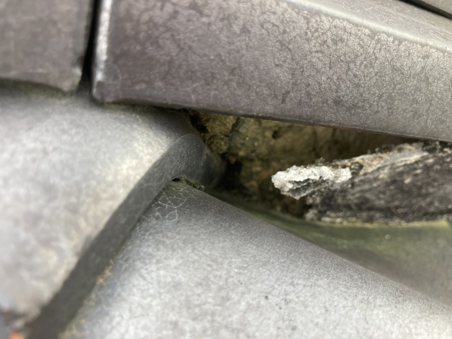 近くで見てみるとすでに土が見えていますね