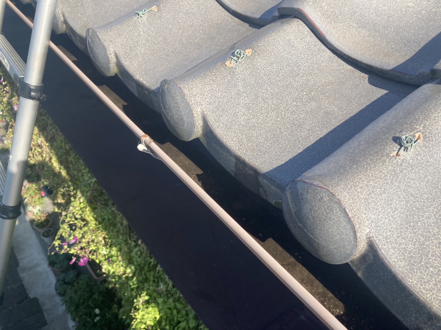 屋根点検　雨樋